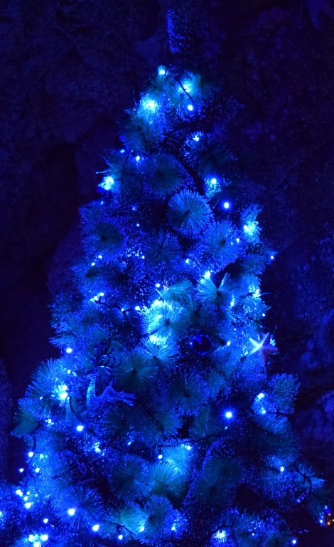 Blue Christmas Service event image